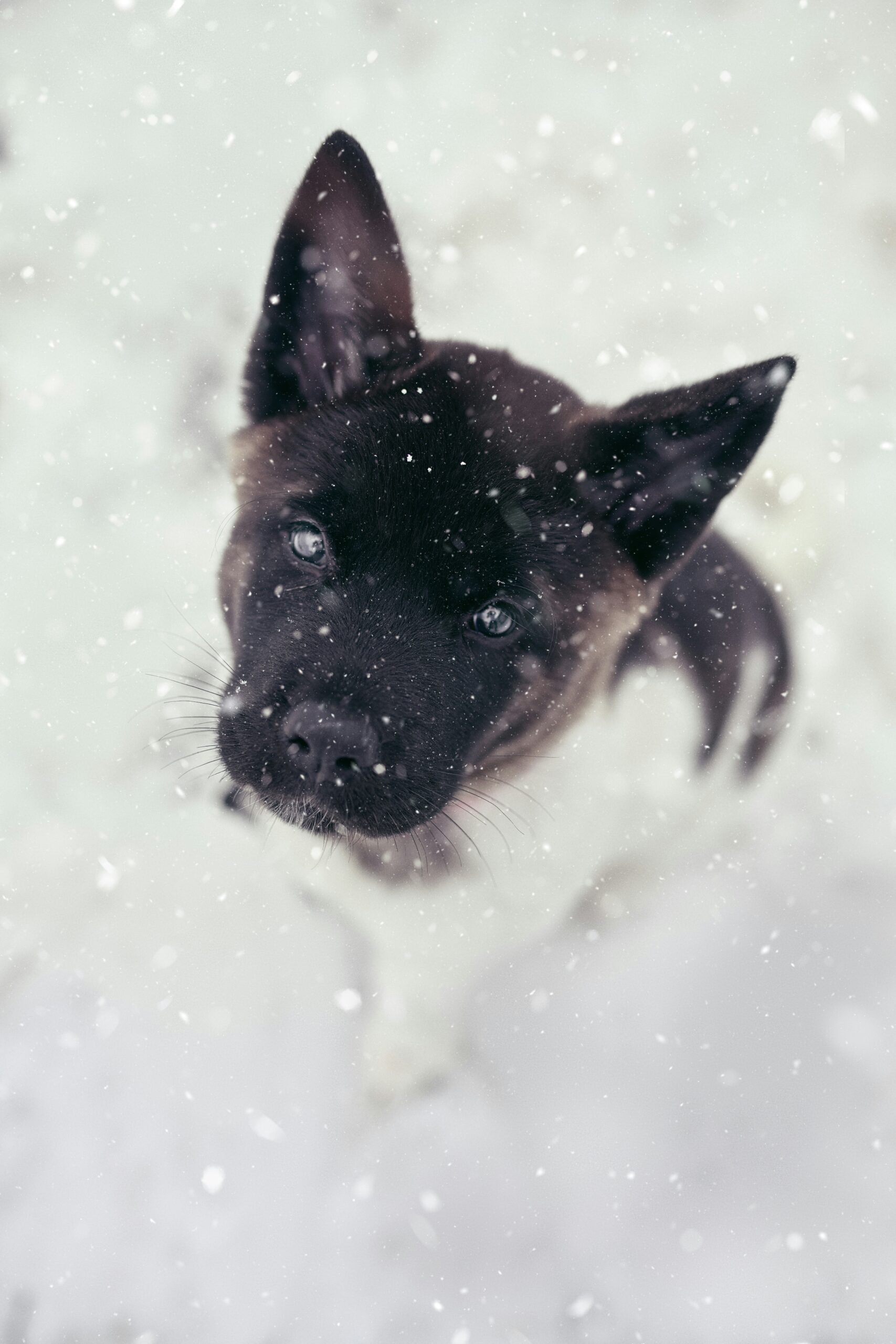 Home charles gaudreault ijqv9nb9tna unsplash (2)